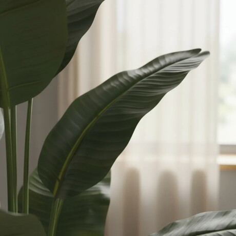 Planta Palmera Artificial Hoja Redonda Planta Palmera Artificial Hoja Redonda