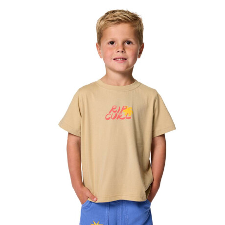 Remera Rip Curl Aots Ty Williams Art Tee Niño Beige