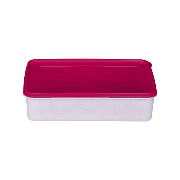 RECIPIENTE 2,8 L ALASKA PARA FREEZER COLORES SURTIDOS RECIPIENTE 2,8 L ALASKA PARA FREEZER COLORES SURTIDOS