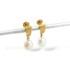 Caravanas Perlas colgantes - Oro bajo - Perla de río- CA8216 conperla
