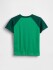 V-FRCH SS LOGO GRPH RAGLAN T GALLANT GREEN