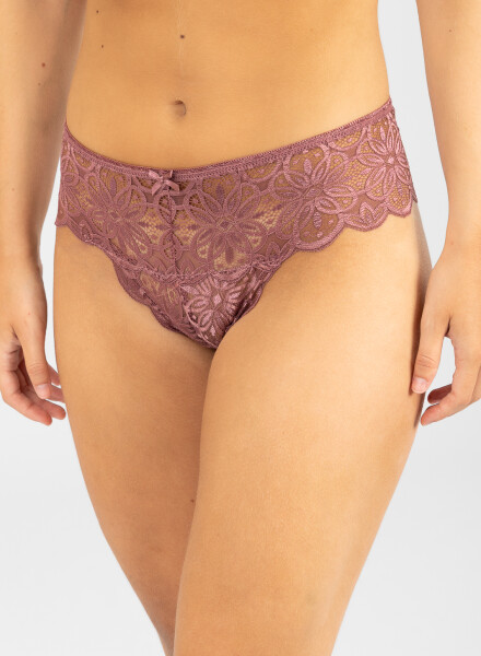 Colaless aster Rosa antique