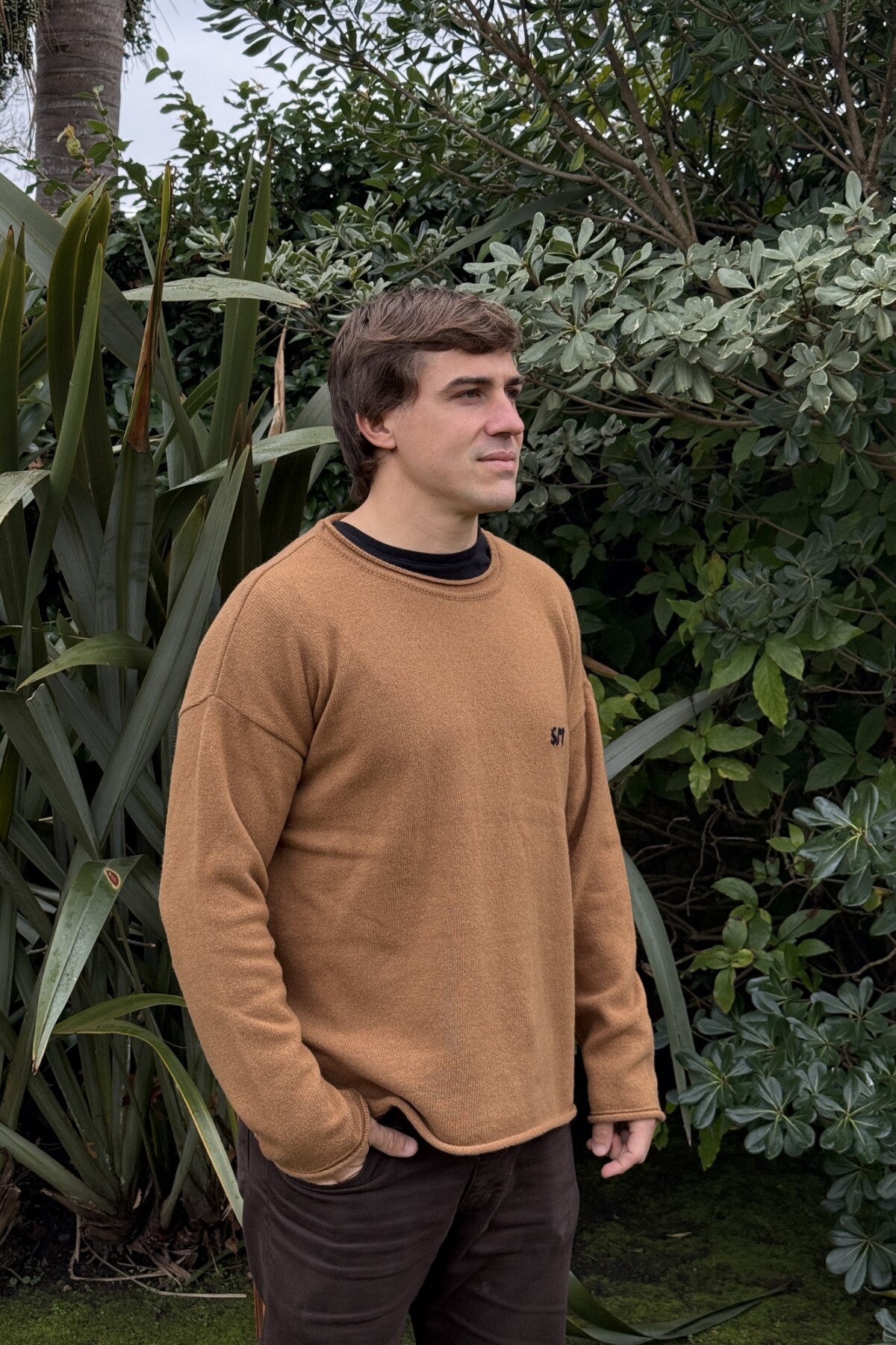 Wool Sweater Men Camel