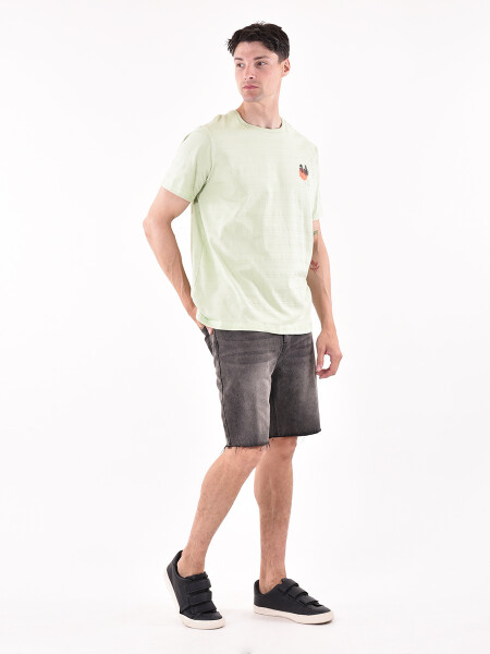 REMERA MAUI VERDE CLARO