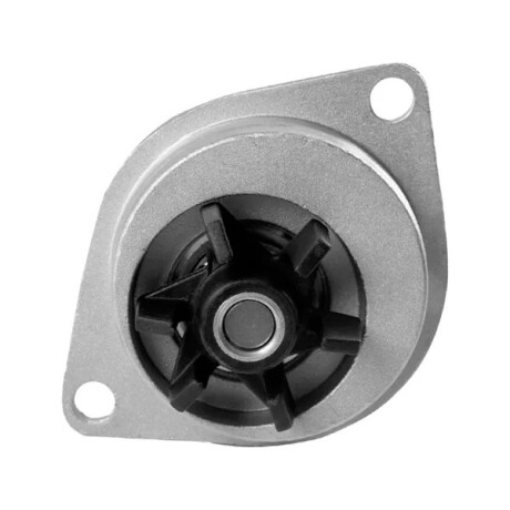 BOMBA AGUA CITROEN - PEUGEOT SAXO 106 306 206 405 1.4 1.6 8V 1.5D POLEA 20 D - BOMBA AGUA CITROEN - PEUGEOT SAXO 106 306 206 405 1.4 1.6 8V 1.5D POLEA 20 D -