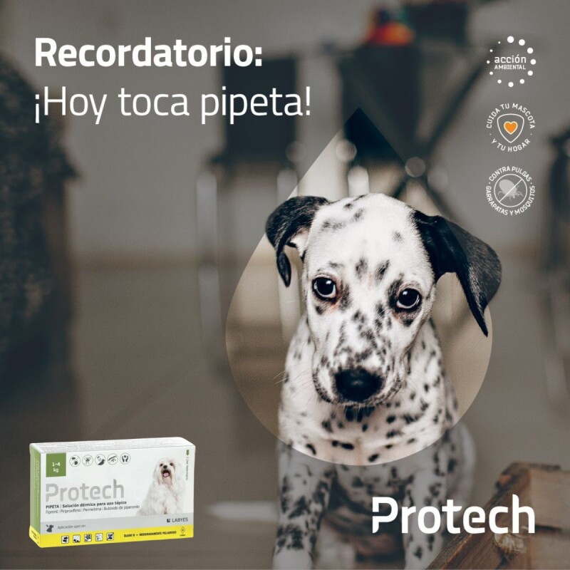 PROTECH PIPETA ANTIPULGAS Y GARRAPATAS CON ACCIÓN AMBIENTAL PARA PERROS DE 1 A 4 KG