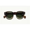Moscot Lemtosh Tortoise
