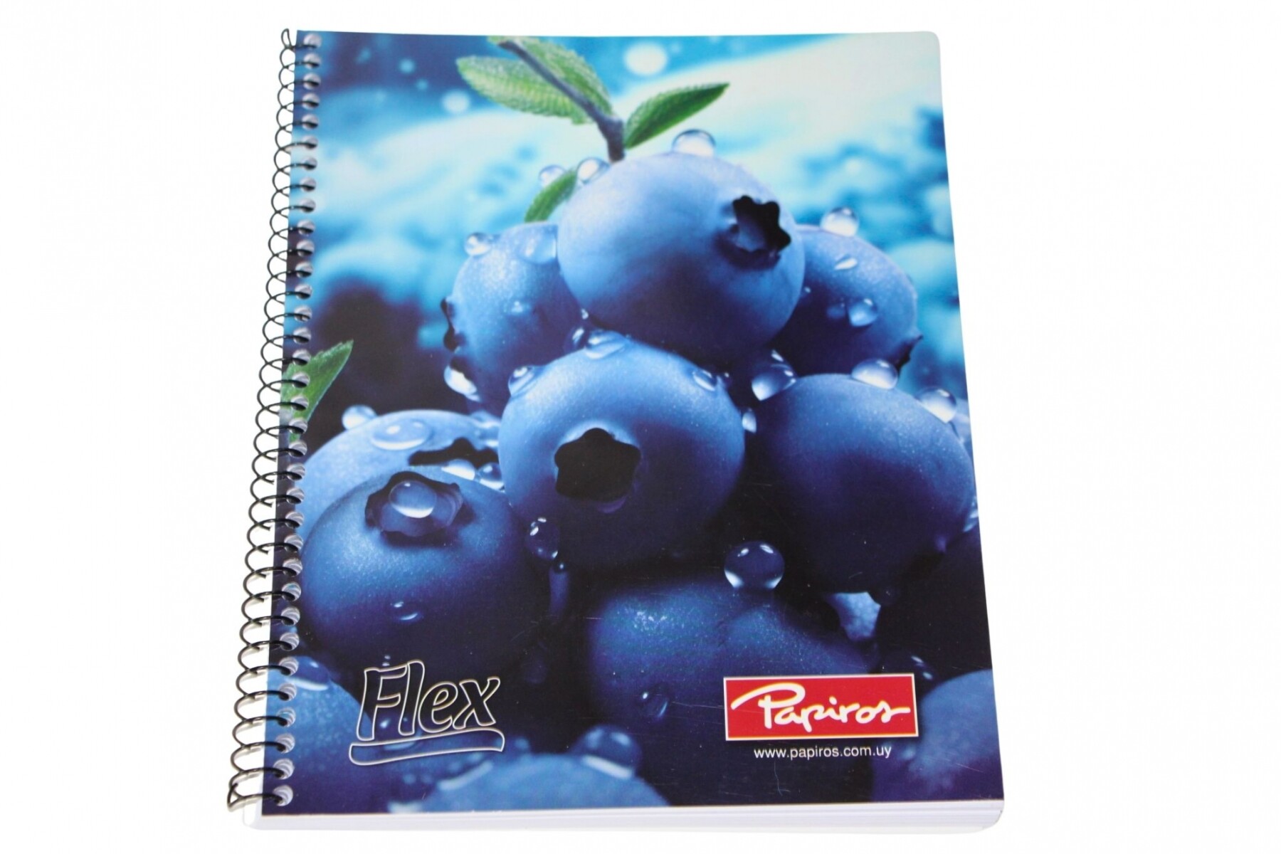 CUADERNO PAPIROS CON ESPIRAL DE 96 HOJAS - TAPA ARANDANOS 