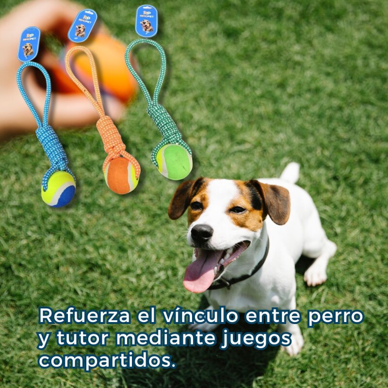 JUGUETE PELOTA CON CUERDA JUGUETE PELOTA CON CUERDA