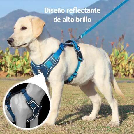Arnés Y Correa Nylon 1.5m Reforzado Ajustable Azul