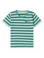 Camiseta Dike Green Spruce