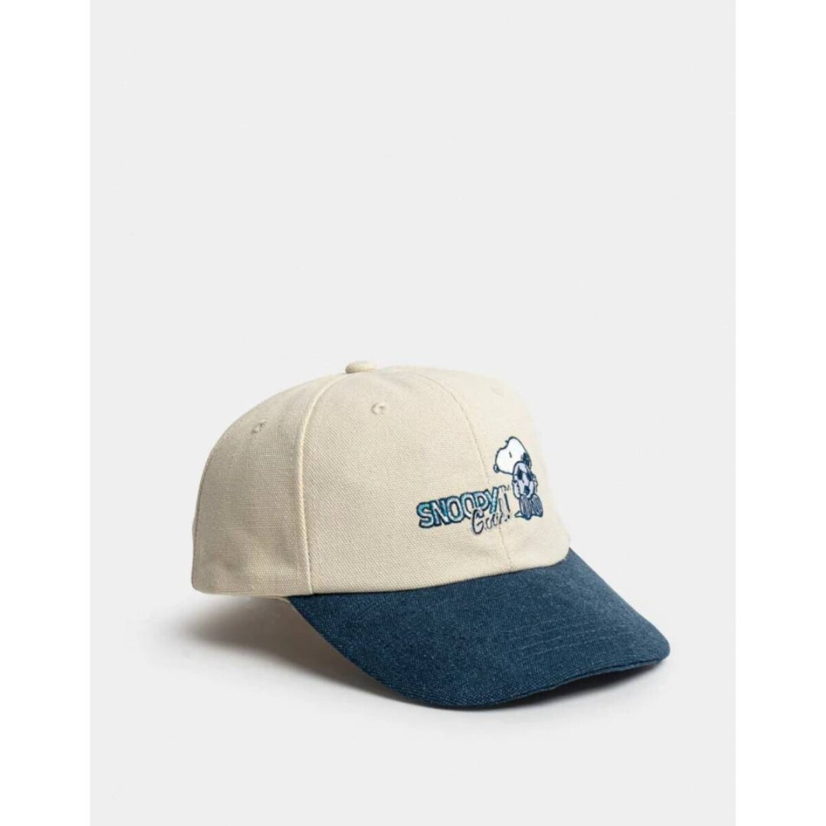 Gorra Bordada Snoopy - Combinacion Bicolor 