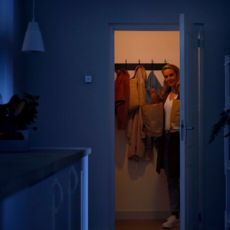 Sensor De Movimiento Para Luces Philips Wiz Alcance 3m 001