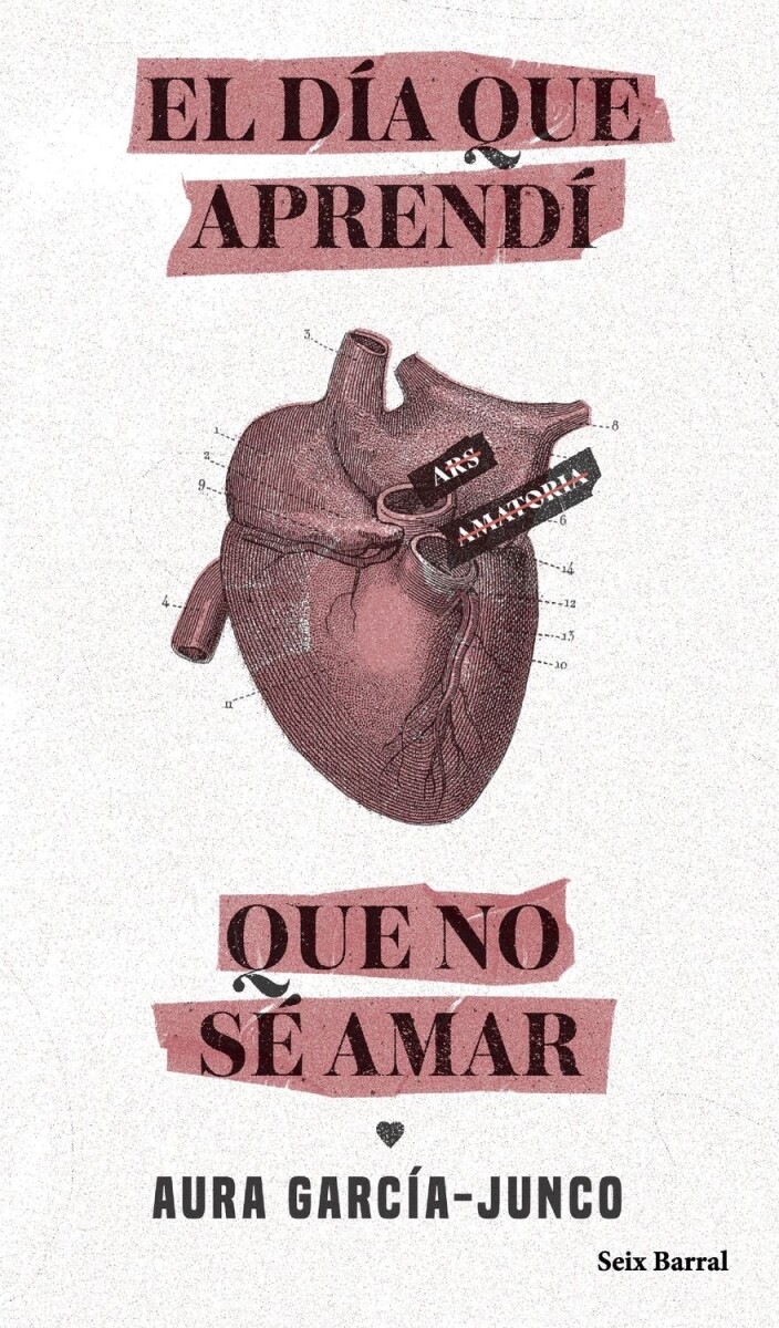 Día Que Aprendí Que No Sé Amar, El 