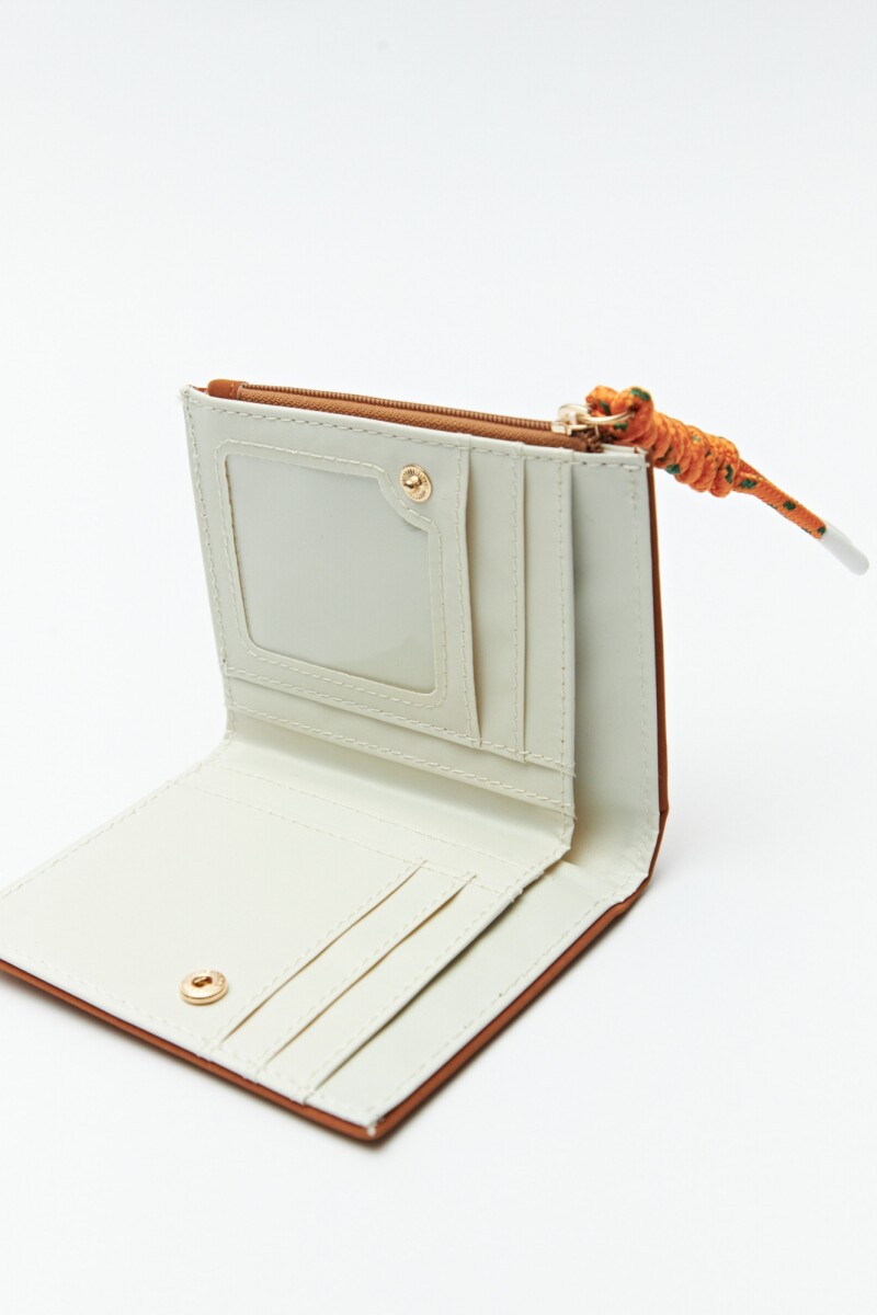 BILLETERA TAYLOR Marron