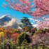 Puzzle Educa Paisaje Osaka Japon Castillo 2000 Piezas Puzzle Educa Paisaje Osaka Japon Castillo 2000 Piezas