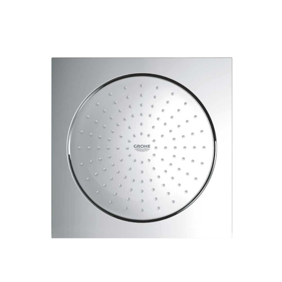 Roseta Rainshower de Techo F 10 Roseta Rainshower de Techo F 10