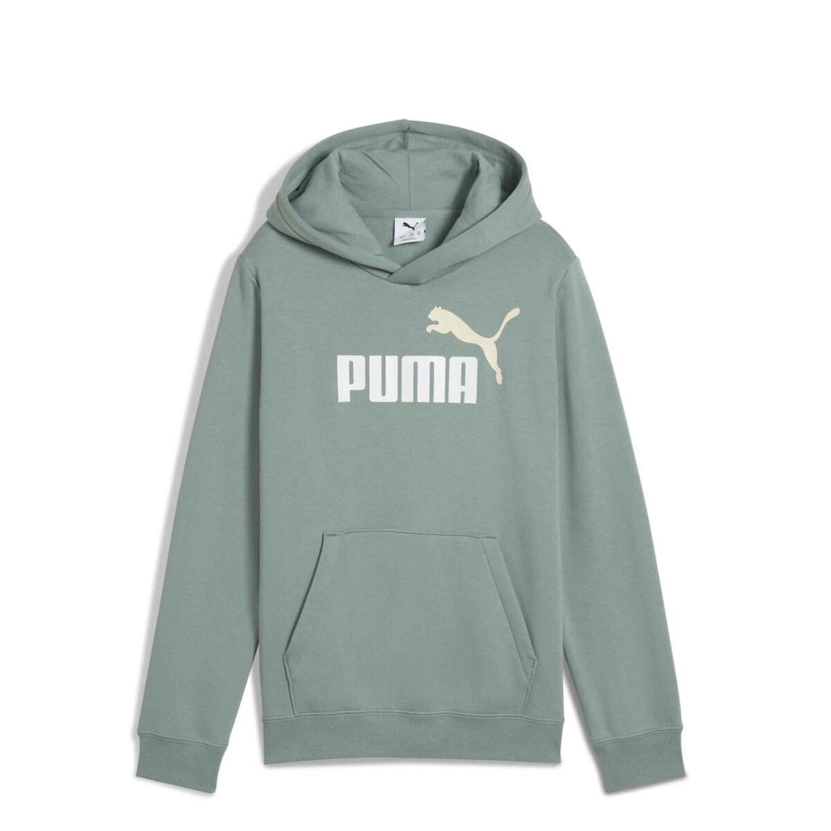 Buzos Puma Logo Hoodie Masculino - Verde 