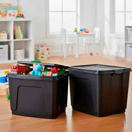 Set x2 Caja organizadora 65 lts NEGRO