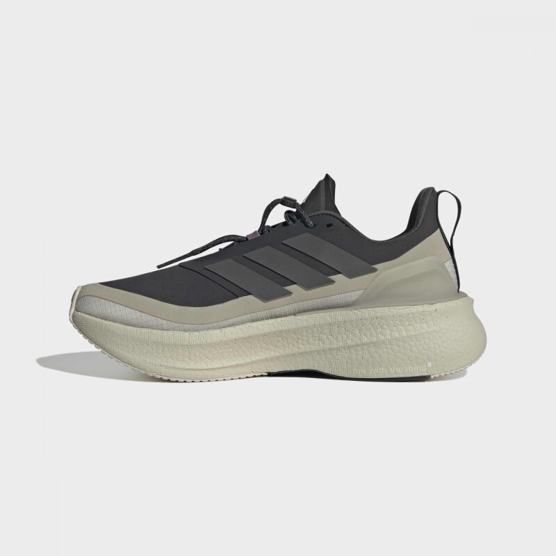Championes Adidas Ultraboost 5 Gris