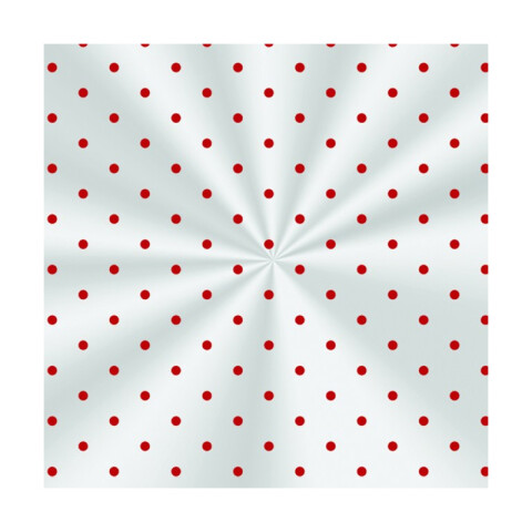 Bolsas de Celofán PUNTOS ROJO x50 10x14 cm