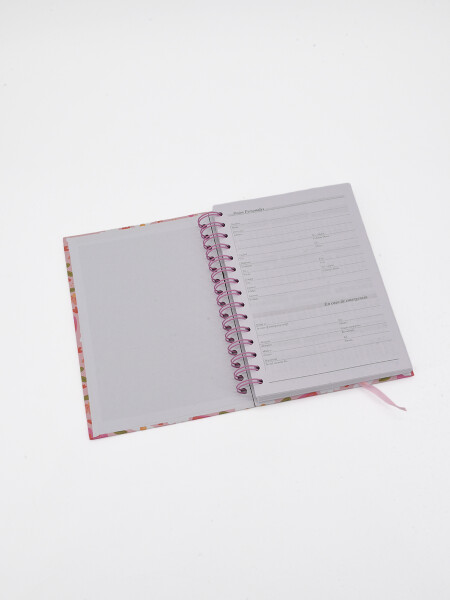 AGENDA ALWAYS BELIEVE 2027 ROSA VIEJO