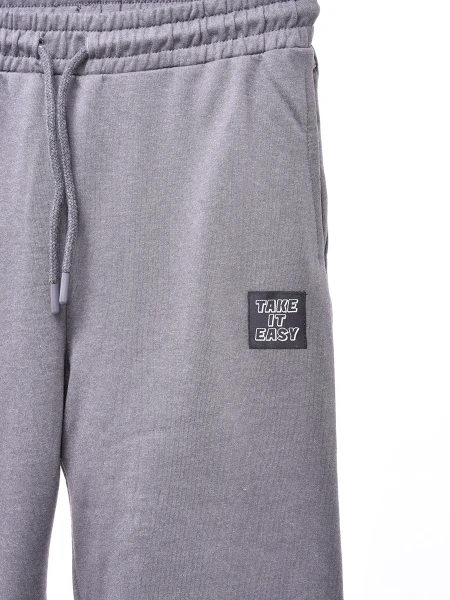 PANTALON DAN GRIS