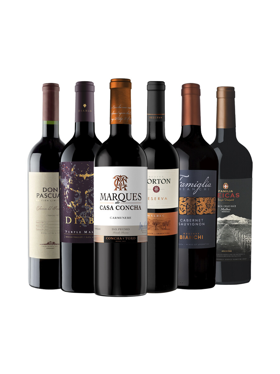Pack Bacán Selección Bacanazo Fin de Año x6 vinos premium Pack Bacán Selección Bacanazo Fin de Año x6 vinos premium