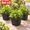 Set x3 Maceta cuadrada 1,9 lts NEGRO