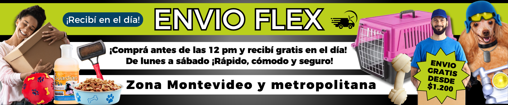Envio flex