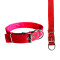 Collar 4cm Perros Acolchado Grande Mascotas Color rojo