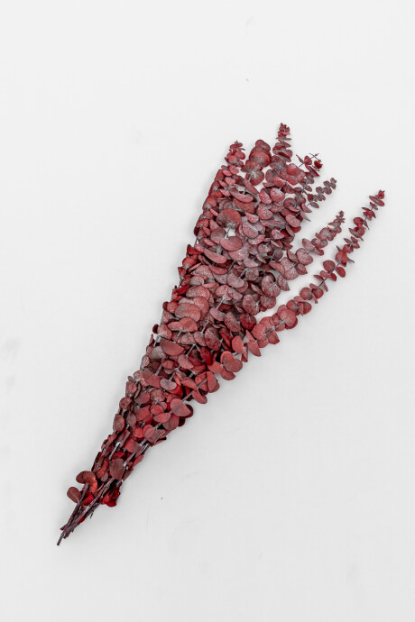 Deco Floral Hojas De Eucalipto Color Unico