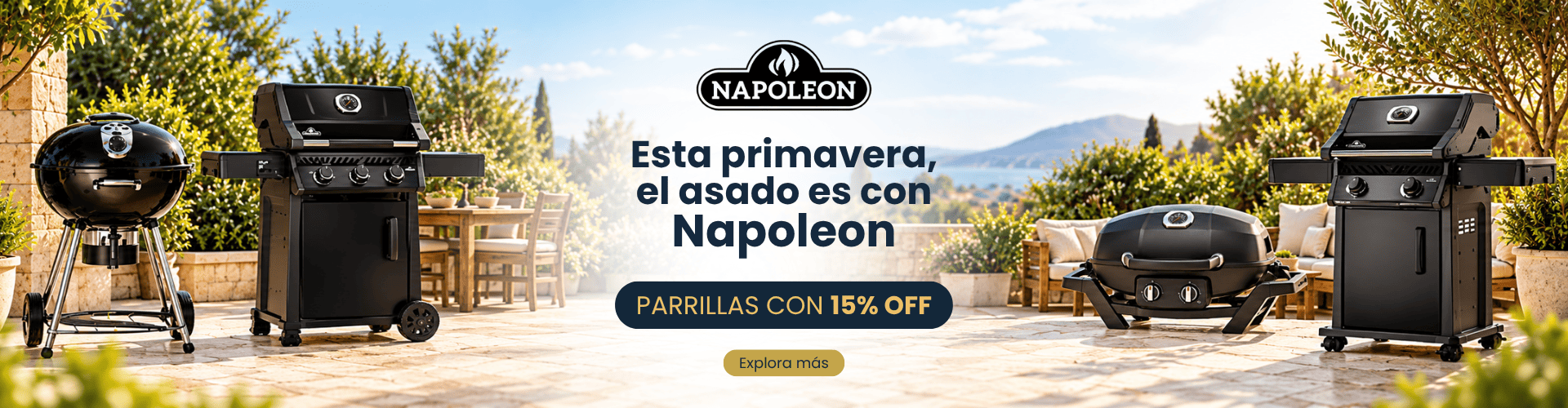 Promo octubre napoleon