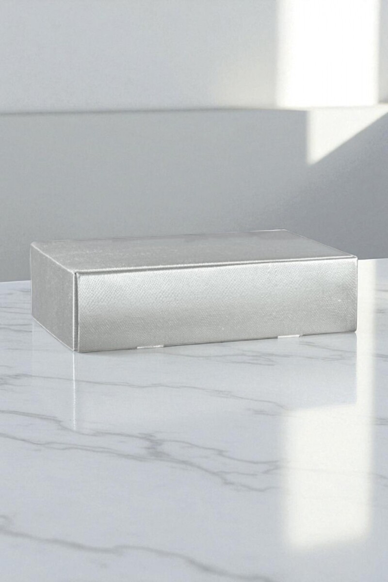 Caja rígida 2 botellas 34x18,5x9 - 38767 - SKIN ARGENTO 