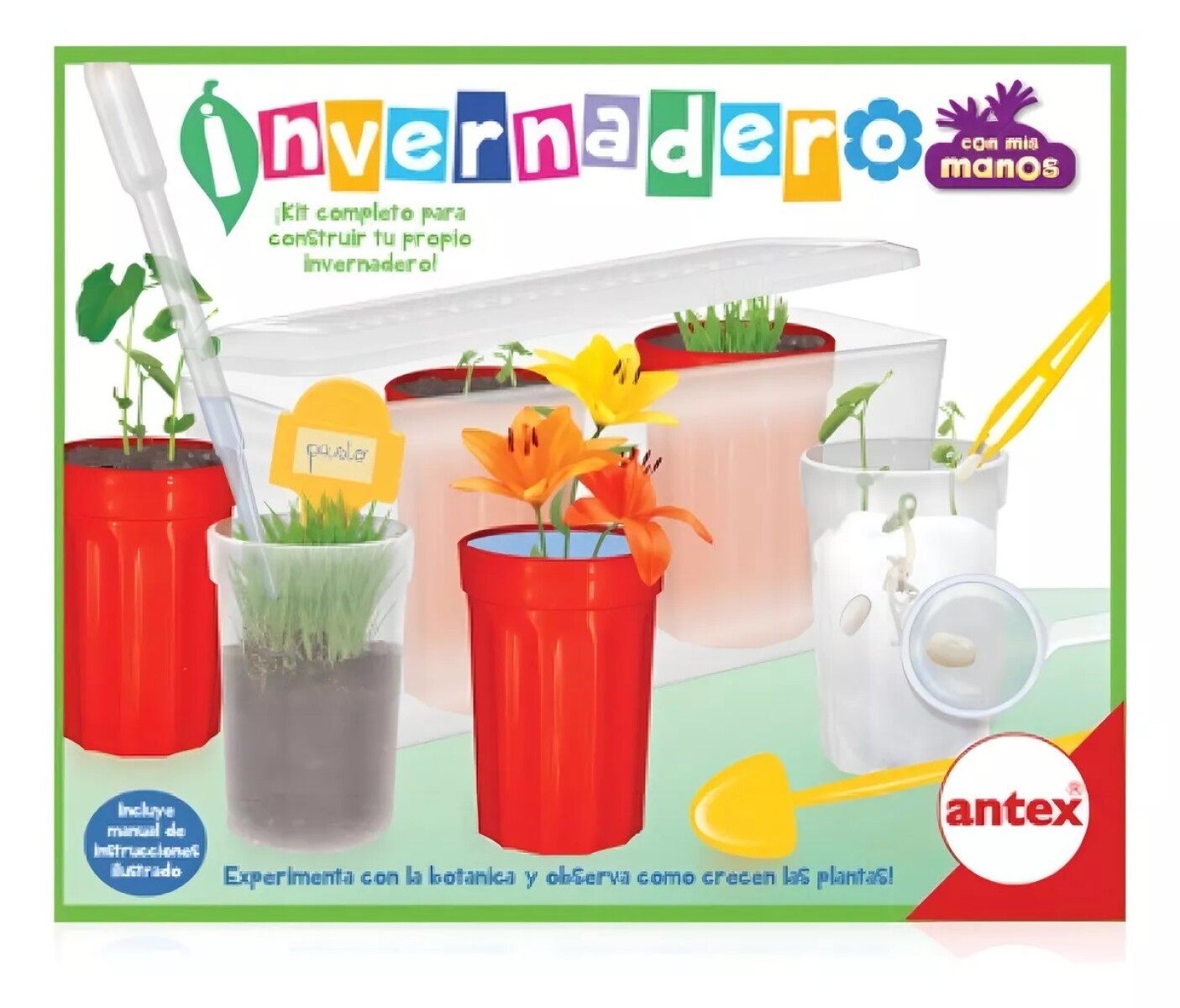 Invernadero Juego Botánica Juguete Didáctico Antex 