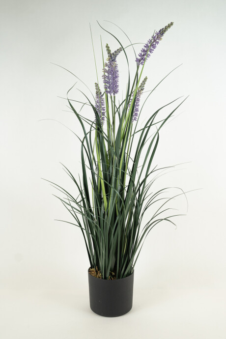 Planta Grass Violet 95cm Color Unico