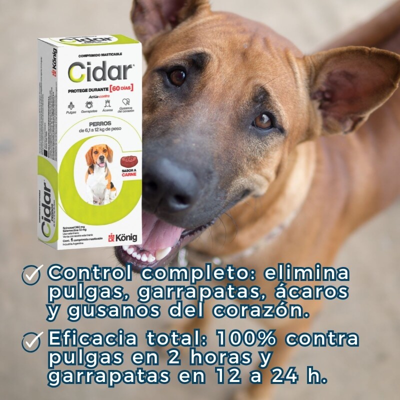 CIDAR PERROS PASTILLA ANTIPULGAS Y ANTIGARRAPATAS KONIG 6.1 A 12 KG