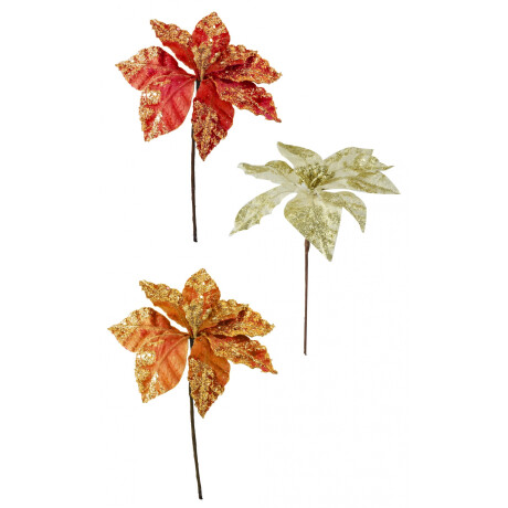 Flor estrella federal Flor estrella federal