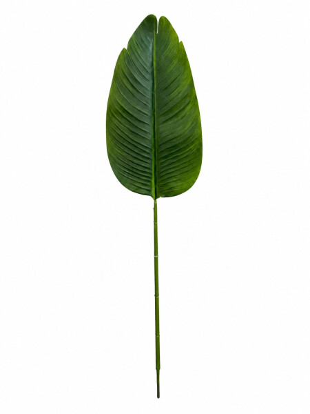 HOJA VERDE
