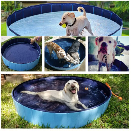 Piscina Plegable Para Mascota 100x30cm PVC Antideslizante Celeste