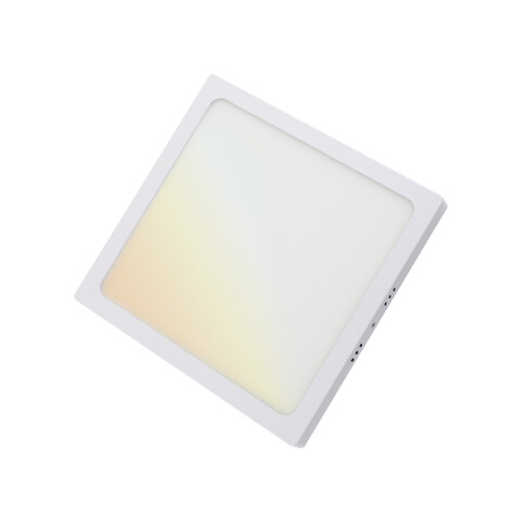 Plafón LED inteligente WIFI 18W Blanco dinámico TE3972