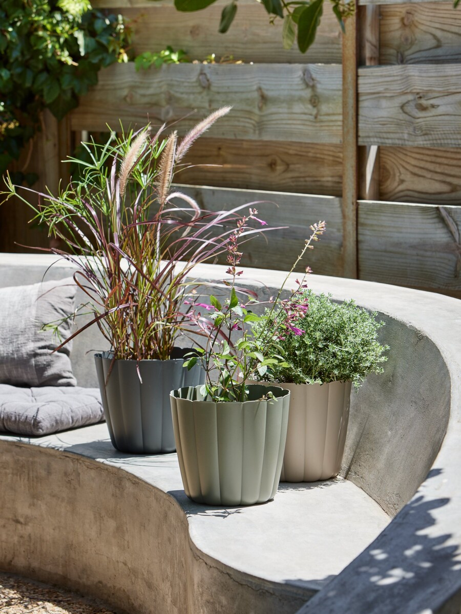 Maceta BUKSEBIE Ø29xH26 surtidos 