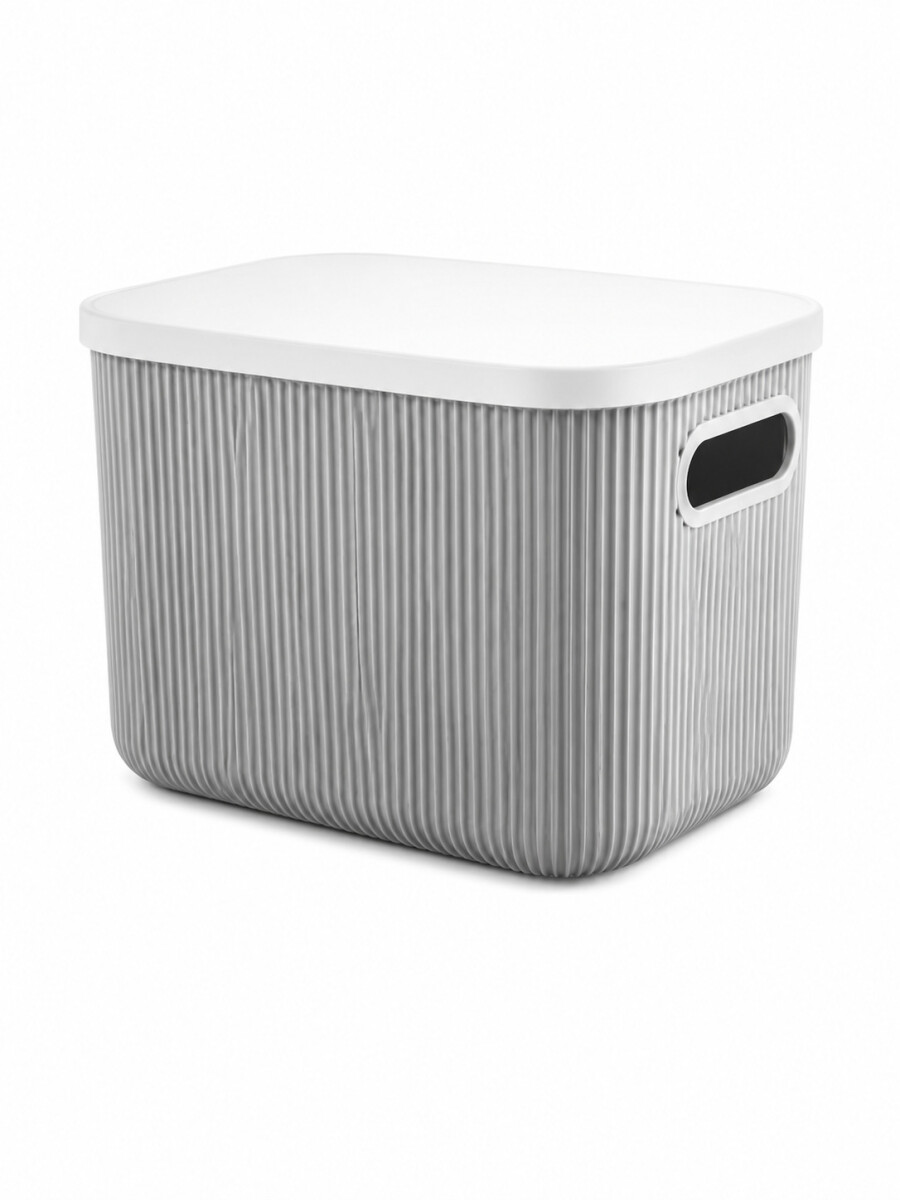 CAJA ORGANIZADORA CON TAPA - GRIS 