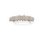 BROCHE RAMAS PLATEADO BROCHE RAMAS PLATEADO