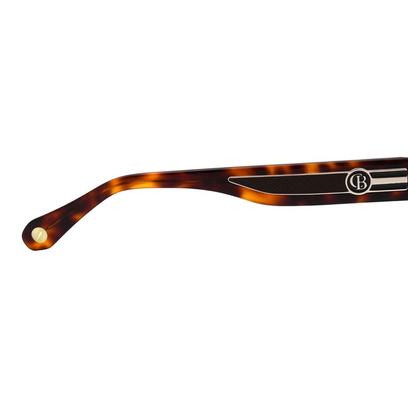 Lentes de Sol Chilli Beans Prado Animal Print