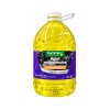 AGUA RADIADOR ANTICORROSIVA 5L Agua Radiador Anticorrosiva 5l
