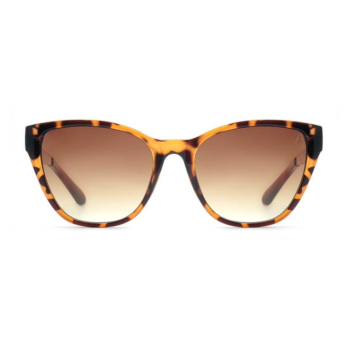 Lentes de Sol Chilli Beans Borneo - Animal Print 