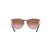 Ray Ban Rb4171 Erika 6591/14