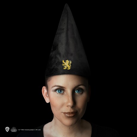 Harry Potter! Sombrero Escolar - Gryffindor Harry Potter! Sombrero Escolar - Gryffindor