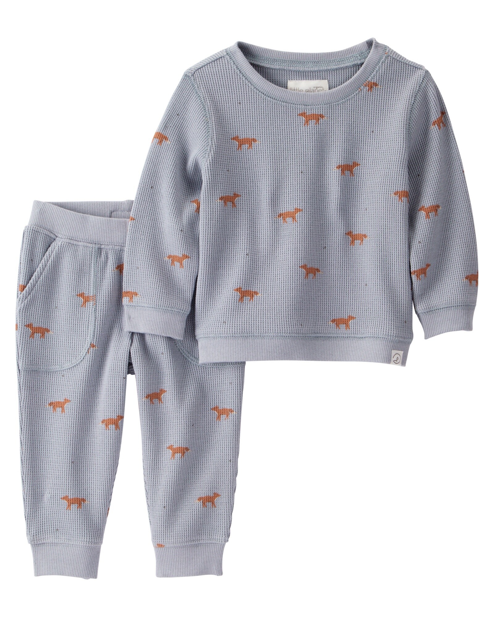 Set dos piezas de algodón orgánico, pantalón y buzo, diseño zorro Sin color